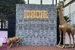 dior tema_backdrop