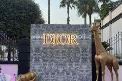 backdrop_dior